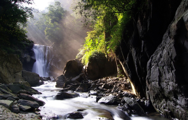 Ручей, лес, камни