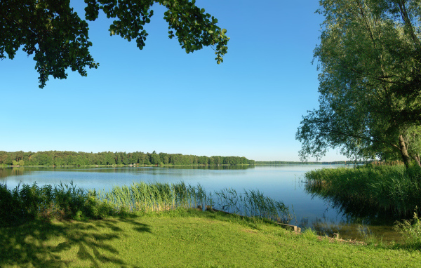 Летняя благодать