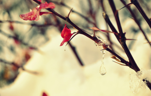 Замерзшая капля