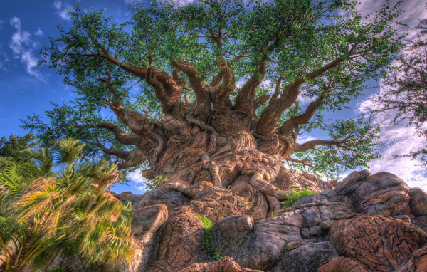 Дерево жизни