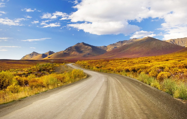 Извилистая дорога