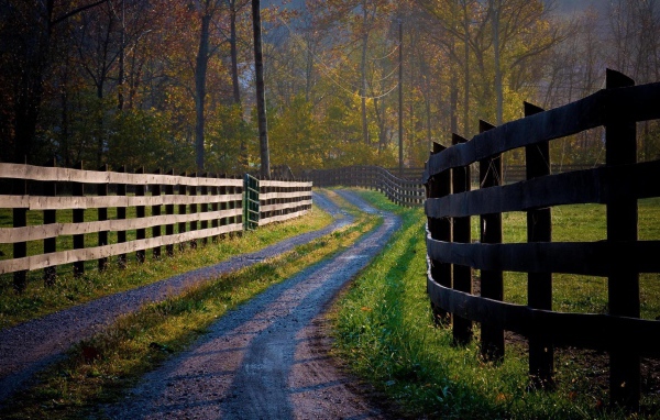 Деревянные заборы