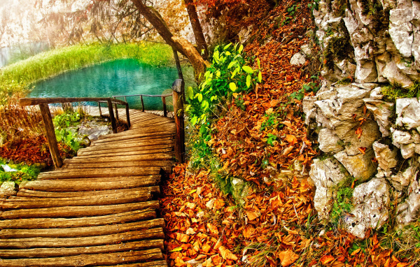 Дорожка к озеру