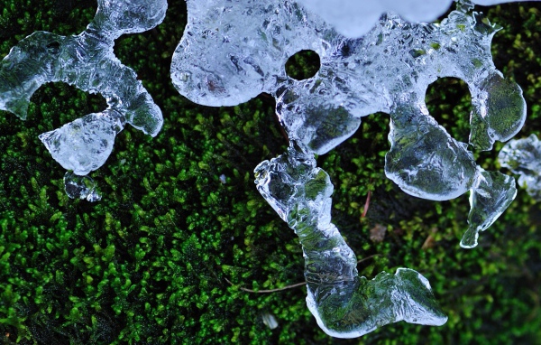 Трава и лед