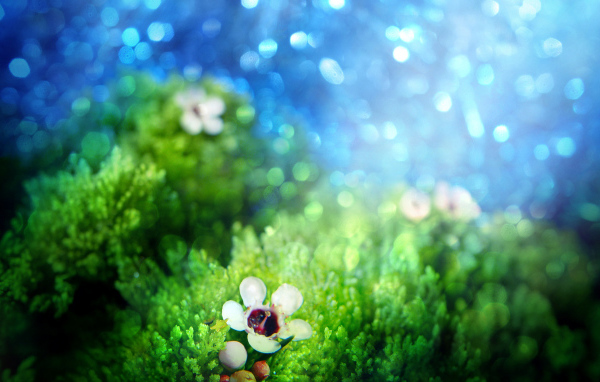 Зеленая трава