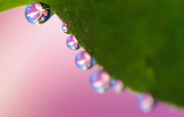 Рабочие обои весна