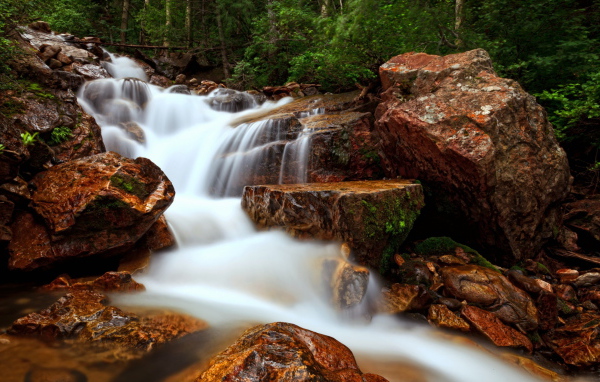 Лесной ручей