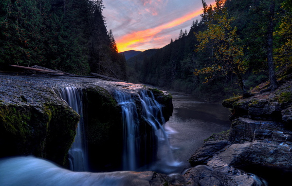 Речка в лесу