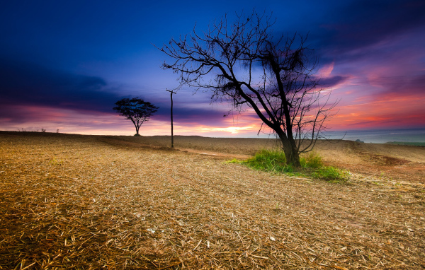 Закат в поле