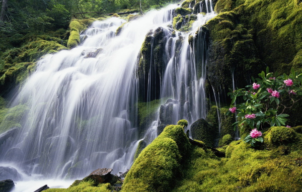 Красивый лесной водопад