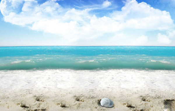 Удивительный берег