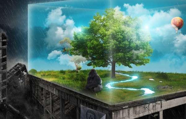 Зеленый уголок