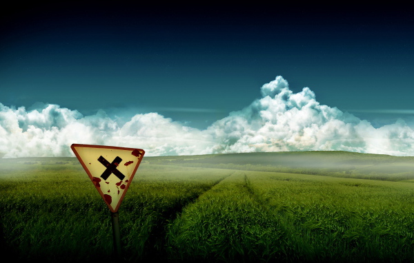 Зеленое поле