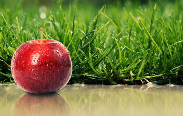 Сладкое яблочко