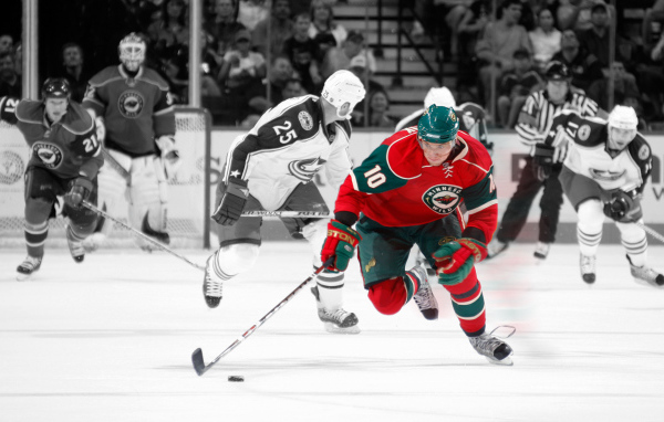 Minnesota Wild, NHL