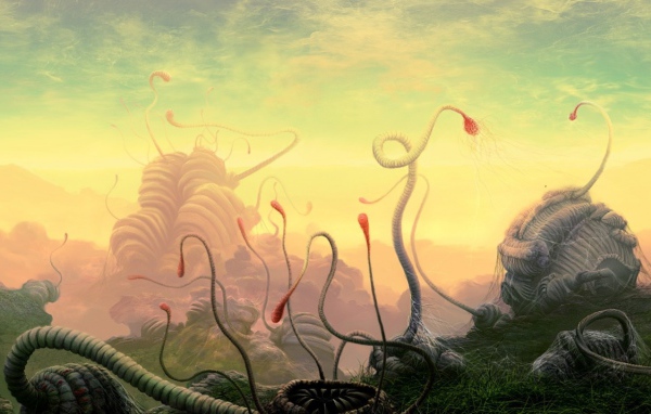 Сезон размножения