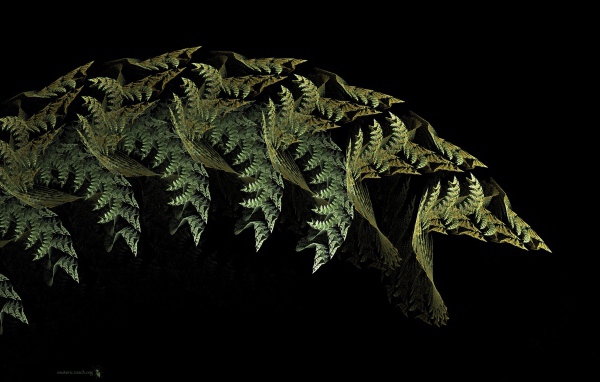 Листья папоротника