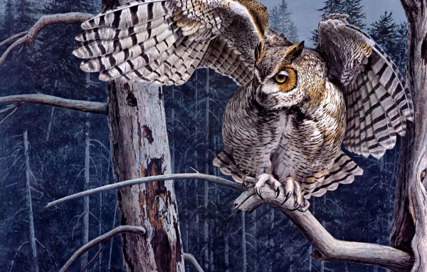 Нарисованный филин