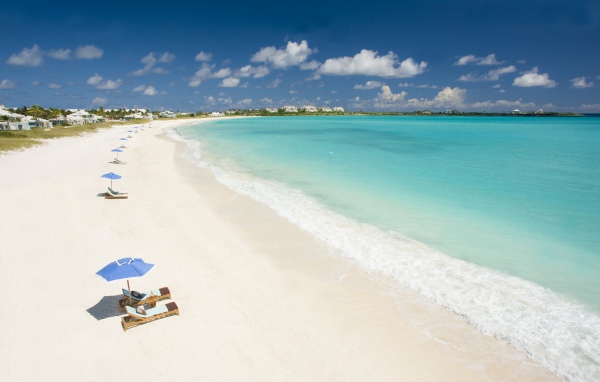 Бабочка на камнях