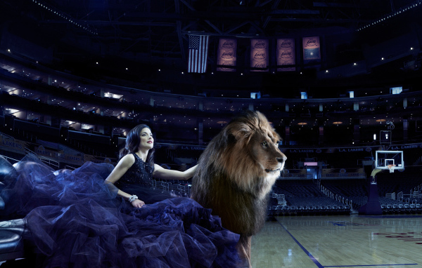 Дикая кошка