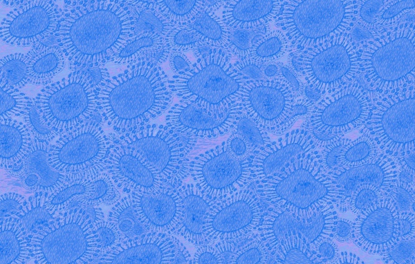 Вирусный фон