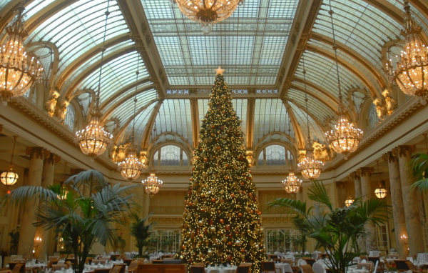 Новогодняя елка в зале