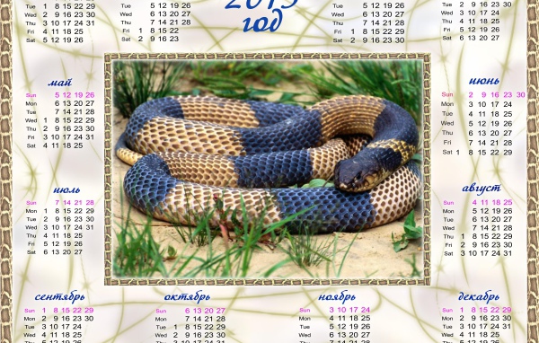 Календарь на 2013 год