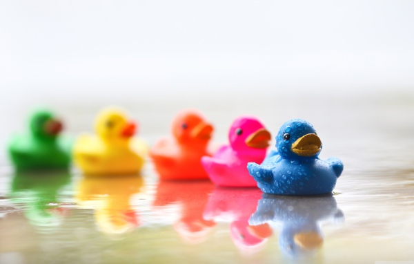 Разноцветные уточки