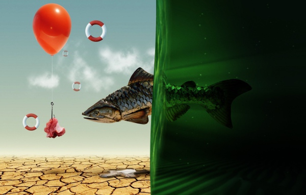 Рыбная мечта