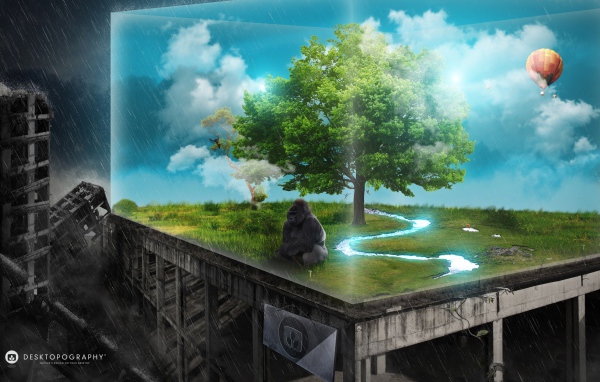 Последняя надежда