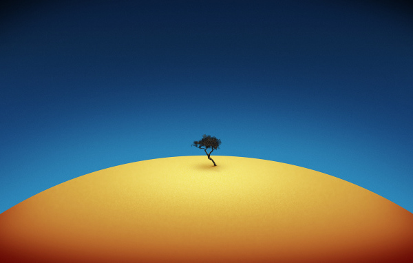 Одинокое дерево