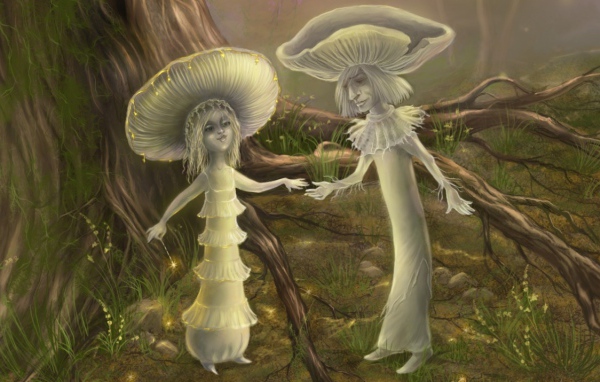 Волшебные грибы