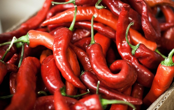 Красный перец