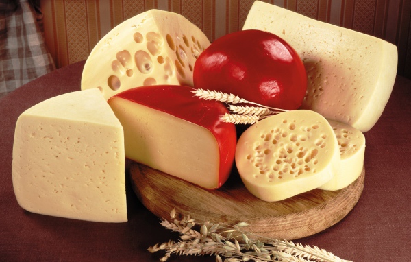Various grades of cheeses