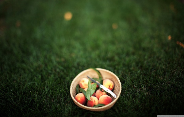 Персики в миске