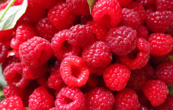 Спелая малина