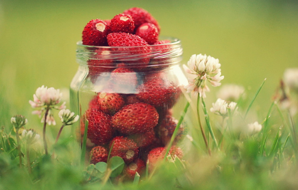 Земляника в банке