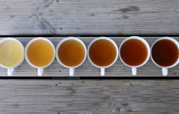 Разнообразие чая