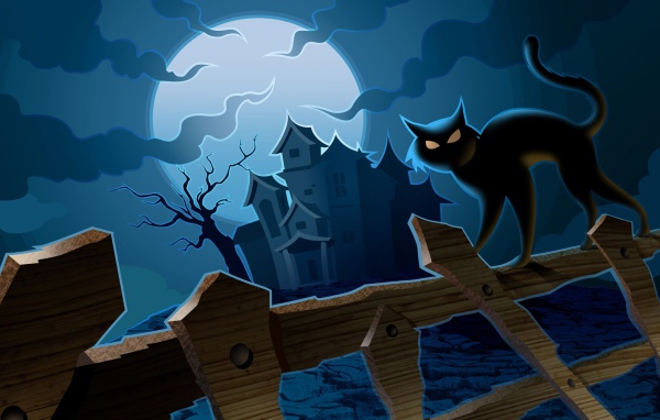 Черный кот на хэллоуин