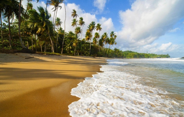 Пальмы и пляж