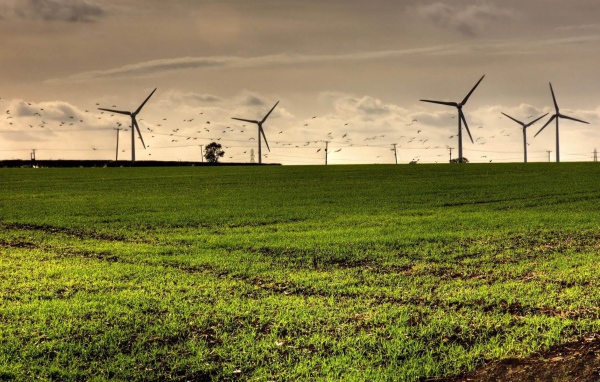Турбины в полях