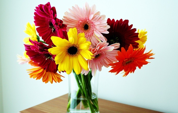 Герберы в вазе