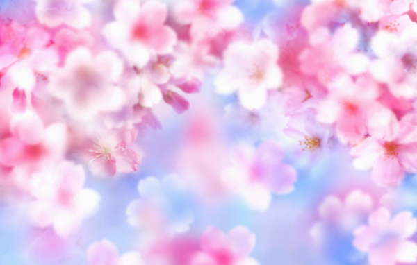 Розовые цветочки