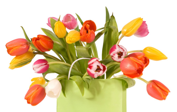 Тюльпаны в пакете