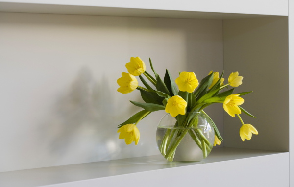 Желтые тюльпаны