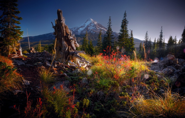 Гора на горизонте