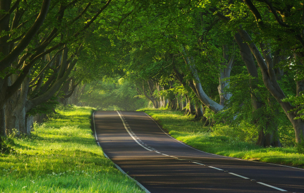 Дорога через тропики