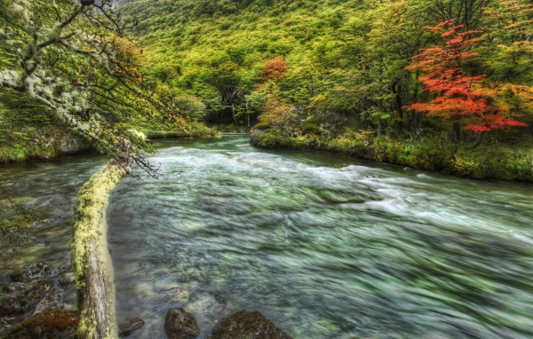 Быстрая горная речка