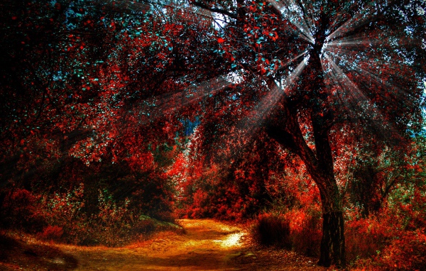 Солнечные лучи