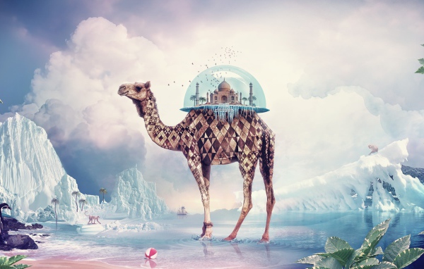 Необычный верблюд